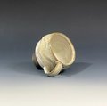 WinterWood Shorty Mug